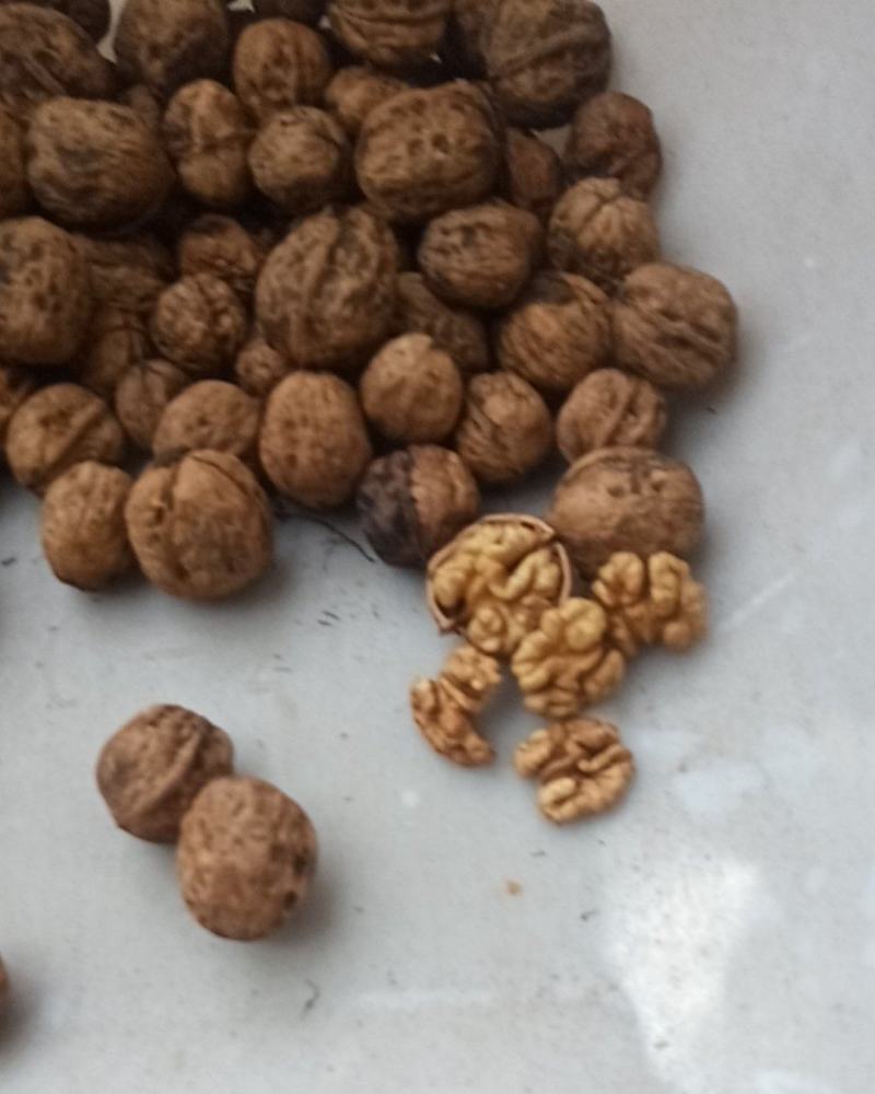 大凉山核桃香脆口感好干