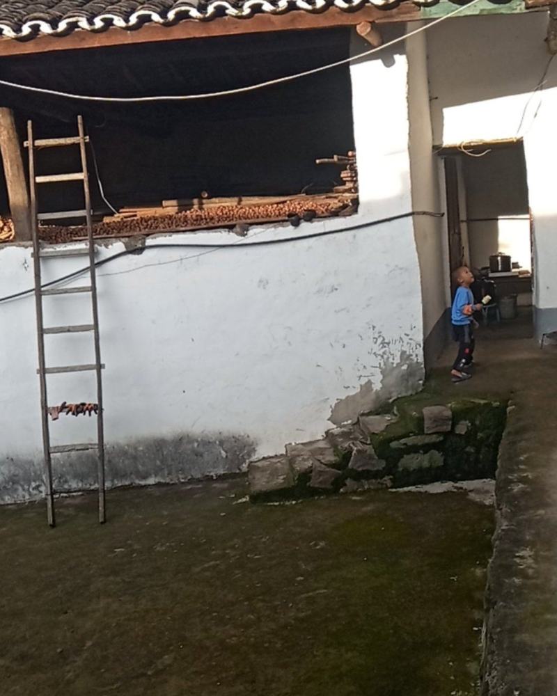 大凉山核桃香脆口感好干