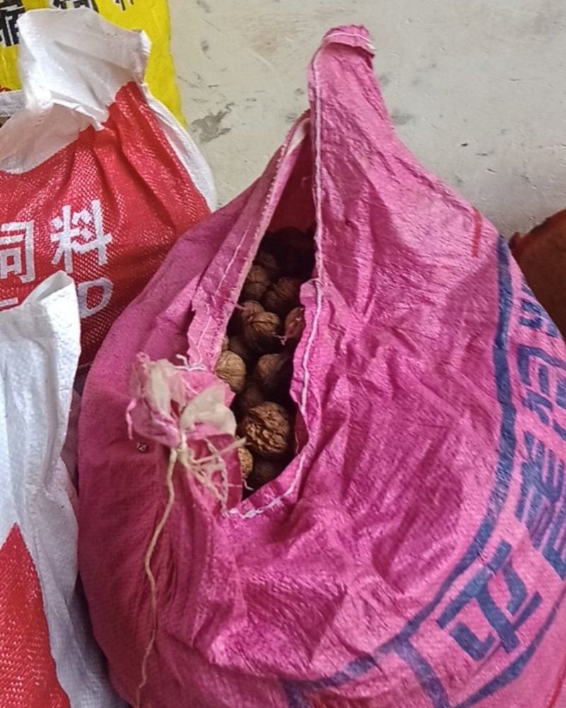 大凉山核桃香脆口感好干