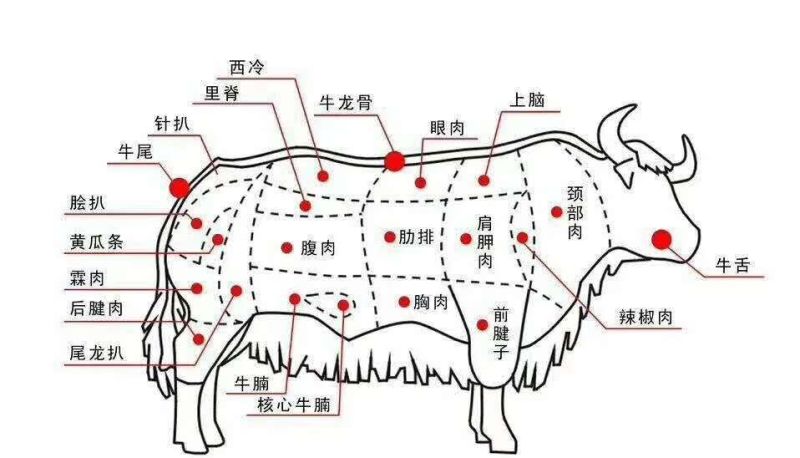 青藏高原棒骨核心切半(量大优惠)