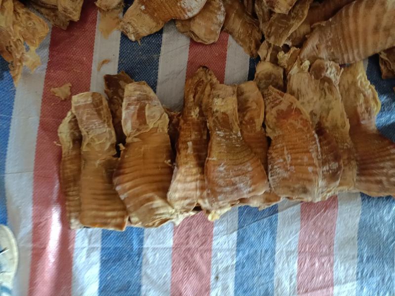 电烤笋干新货烤笋日晒笋干碳烤笋农家笋片无硫电烤笋干干货