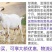矿物质牛羊舔砖牛羊马鹿驴反刍异食癖营养开胃新升级饲料盐砖