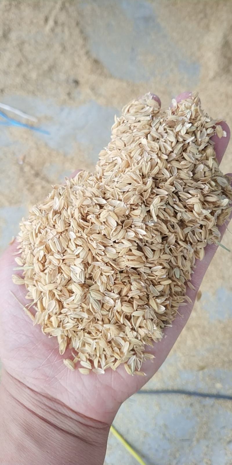 鱼台优质稻壳稻壳厂家直销