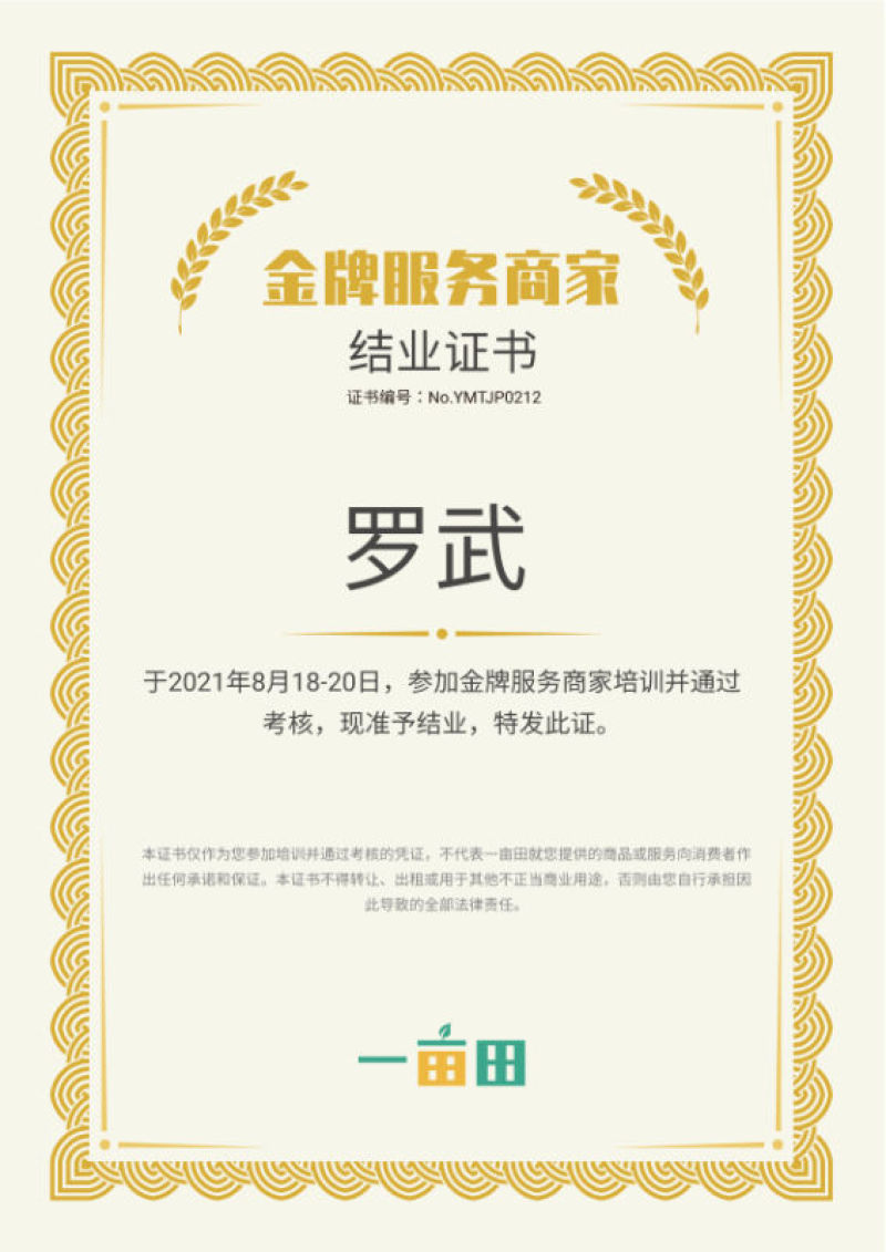 昆明小菊鲜切花美观基地直销量大优惠