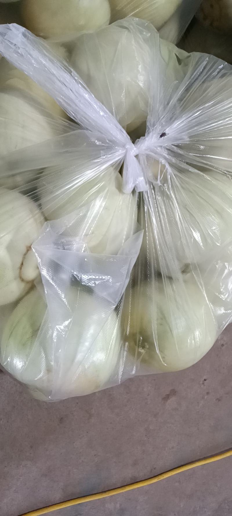 香瓜