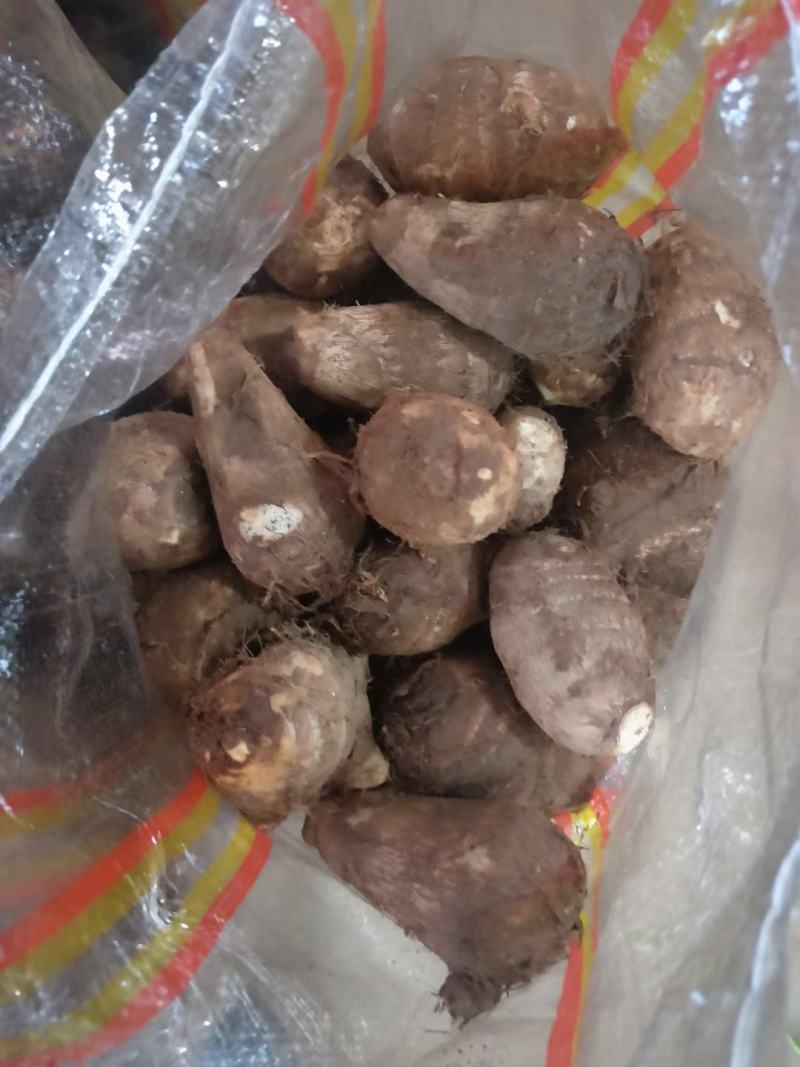 芋头香糯可口，个大饱满，耐运输，质量好，价格便宜