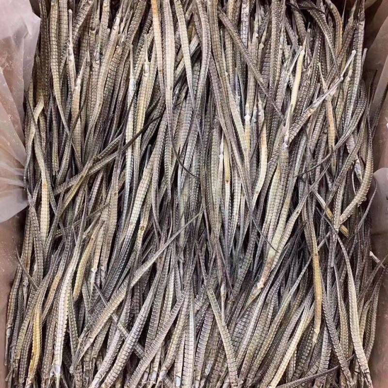 海龙六角海龙质量优良品质保证量大从优