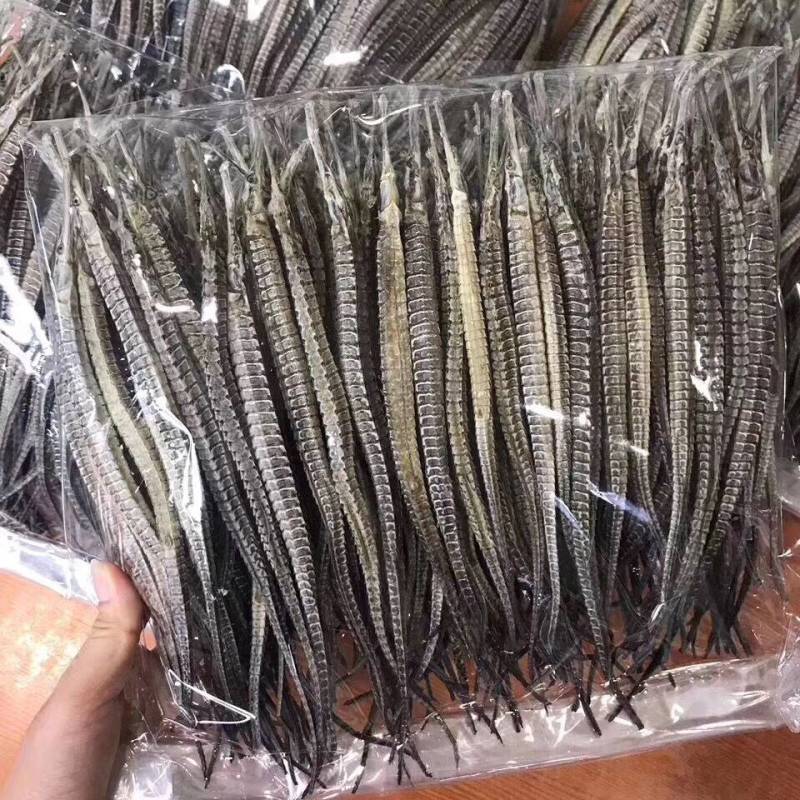 海龙六角海龙质量优良品质保证量大从优