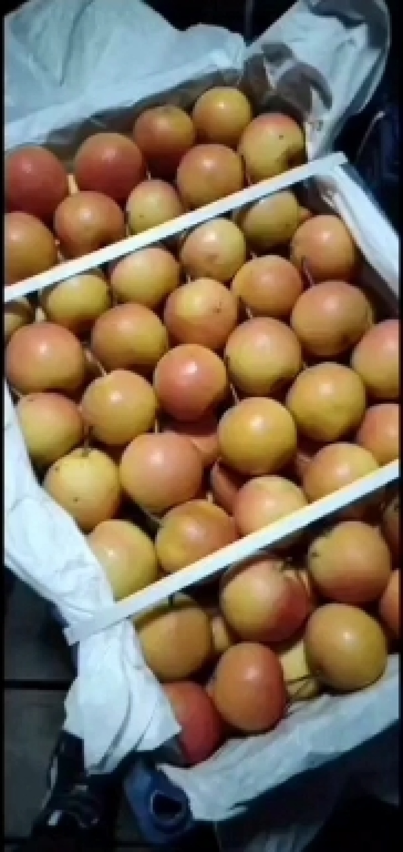 南果梨