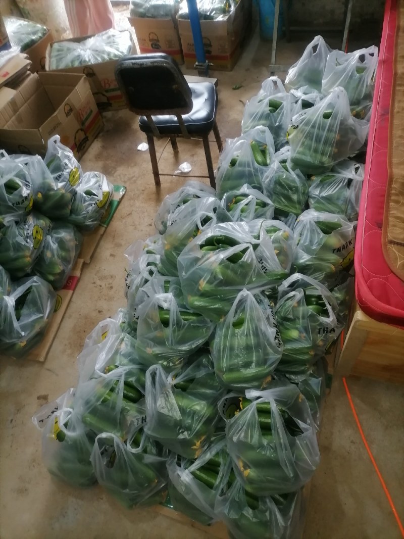 小游（精品水果黄瓜）脆甜现摘发现货全国包邮京东快递