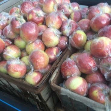 请说一亩田看到的美八🍎苹果产地直销量大价格低质量好！