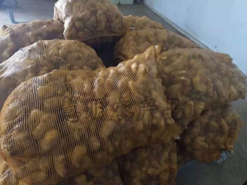 【优选】山东姜母批发产地大量供应提供清洗加工电商包装