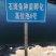 【淡水石斑鱼苗】塘口直发抗病毒能力强，生长速度快，鱼场批发