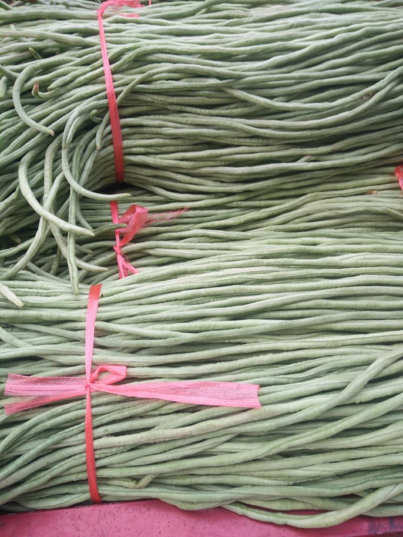长豆角！质优价廉！大量供应！包装一条龙！电商供货