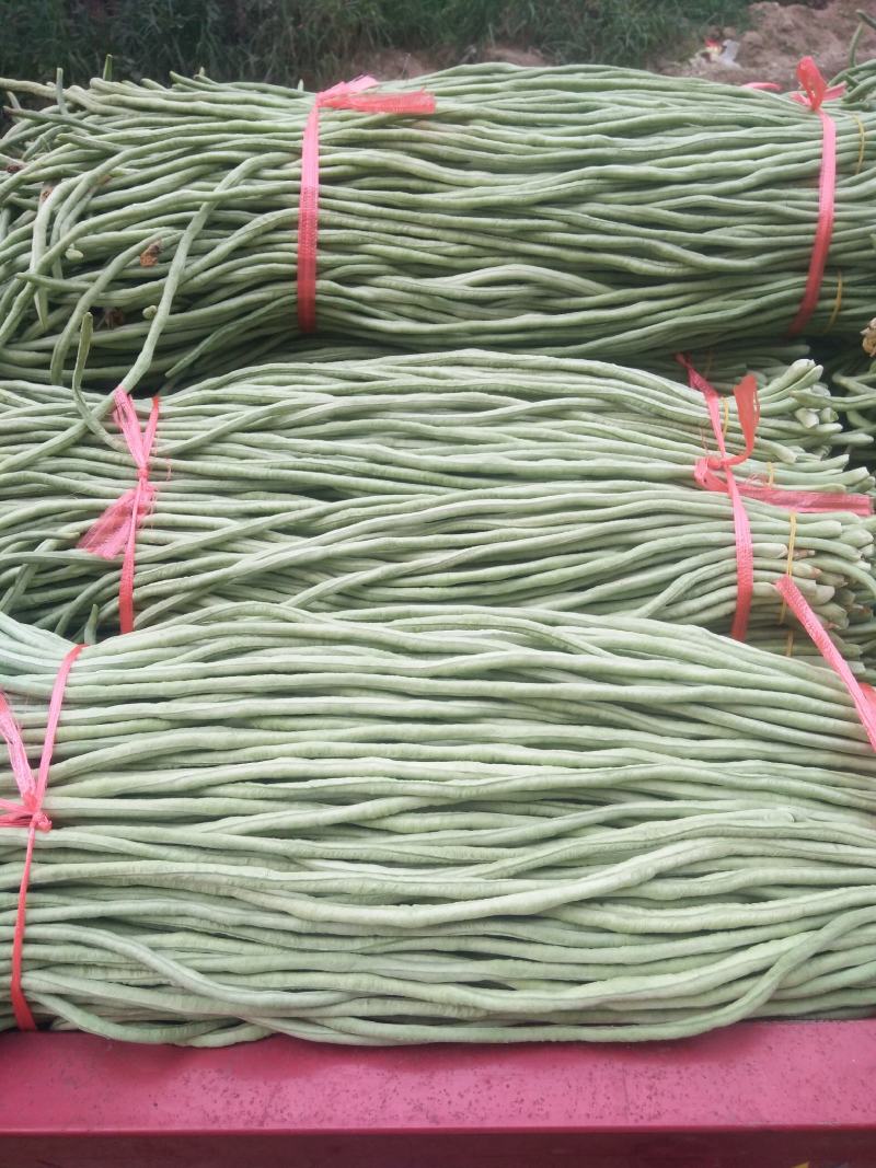 长豆角！质优价廉！大量供应！包装一条龙！电商供货