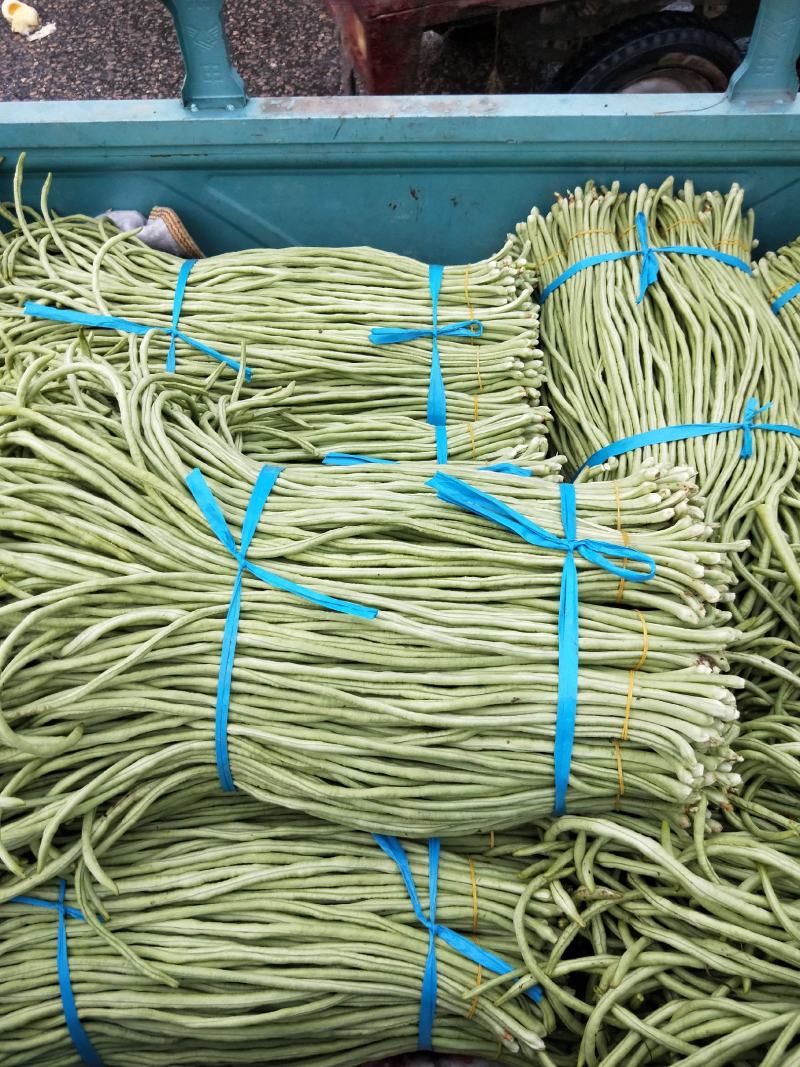 长豆角！质优价廉！大量供应！包装一条龙！电商供货
