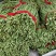 长豆角！质优价廉！大量供应！包装一条龙！电商供货