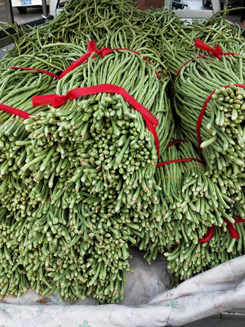 长豆角！质优价廉！大量供应！包装一条龙！电商供货