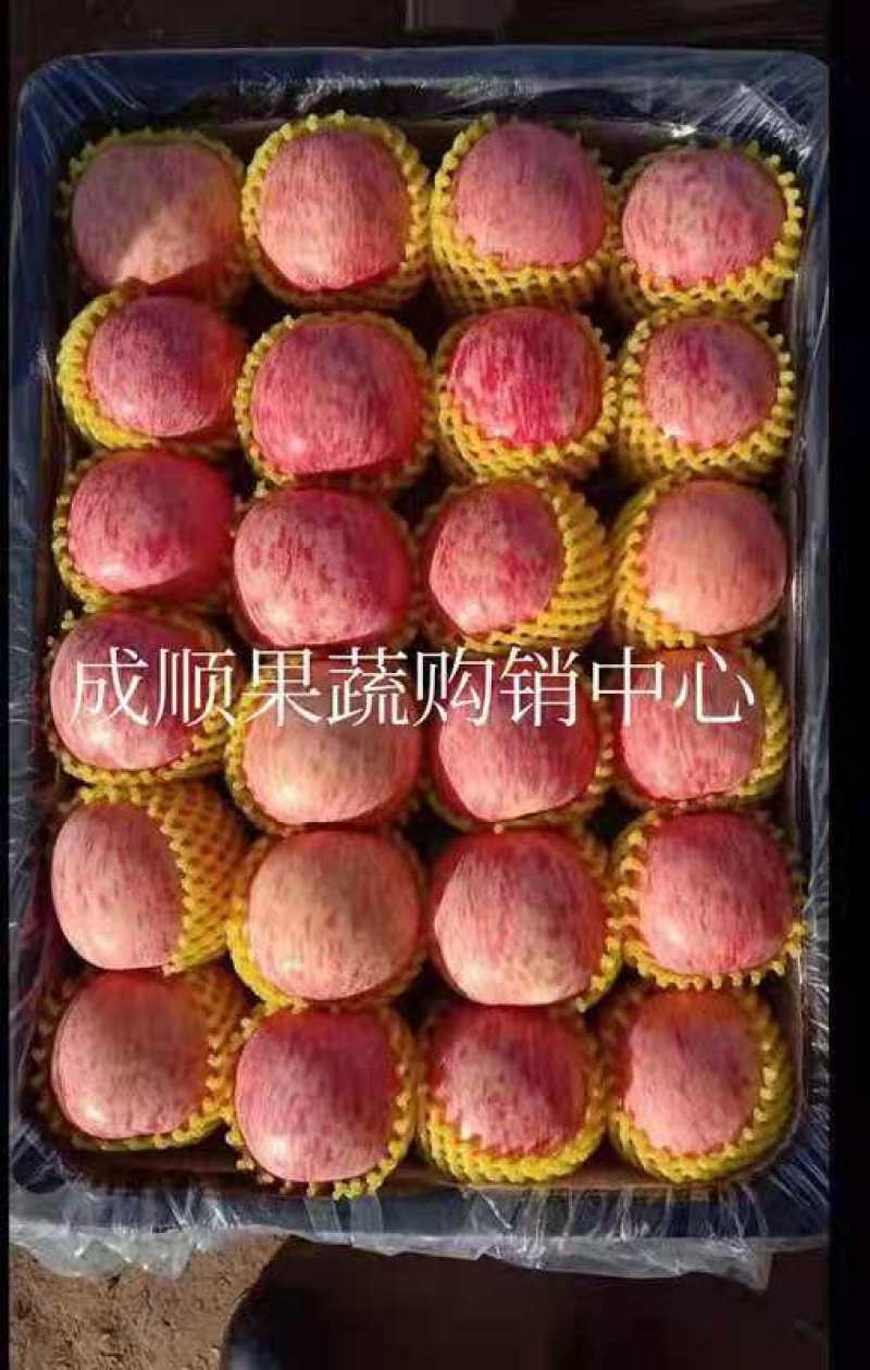 精品水晶红富士苹果口感脆甜条纹全红冰糖心苹果代发全国