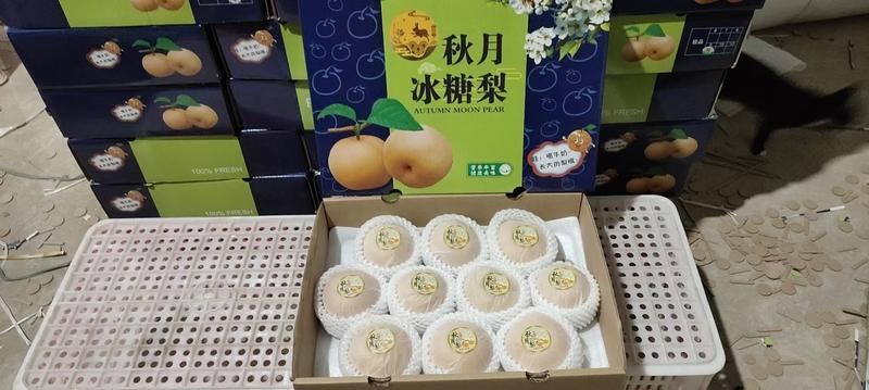 山东冠县秋月梨承接超市电商社区团购一件代发出口业务