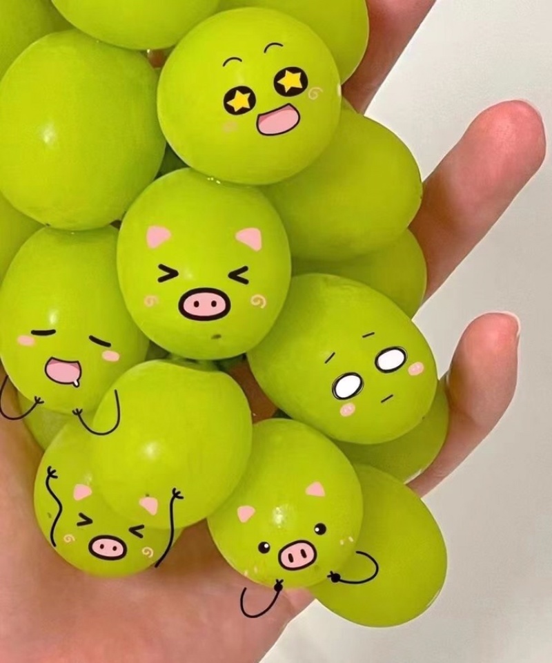 阳光玫瑰晴王颗粒装承接各大平台支持一件代发