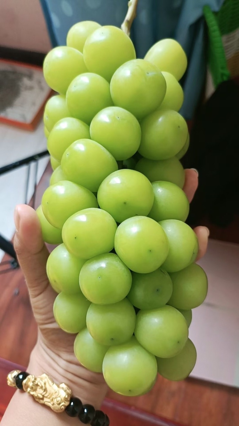 阳光玫瑰晴王颗粒装承接各大平台支持一件代发