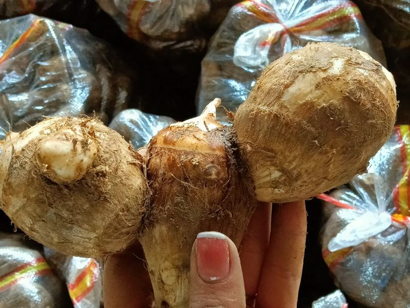 【牛商推荐】山东优质8520毛芋头，产地货源，坏烂包赔