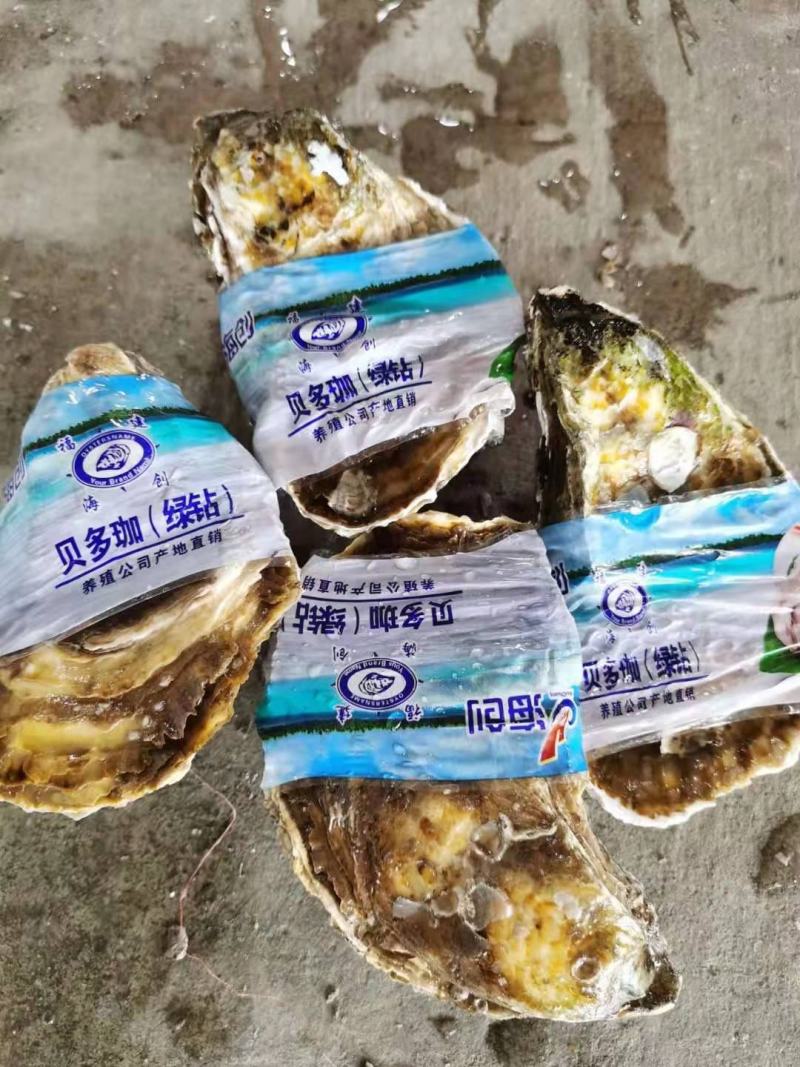 生蚝套标生产商