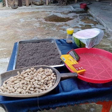 高山茶，云雾，绿色，安全，保健。