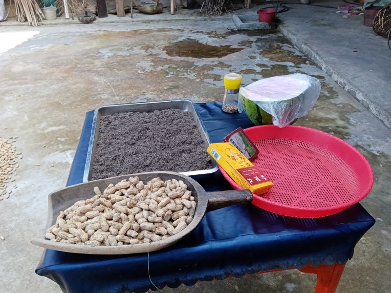 高山茶，云雾，绿色，安全，保健。