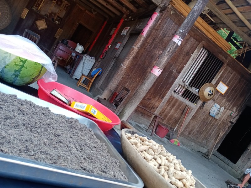 高山茶，云雾，绿色，安全，保健。