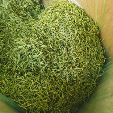 金银花批发优质货源大货供应