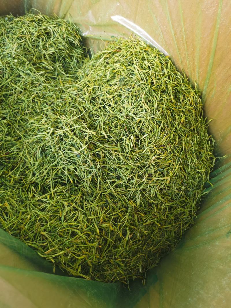 金银花批发优质货源大货供应