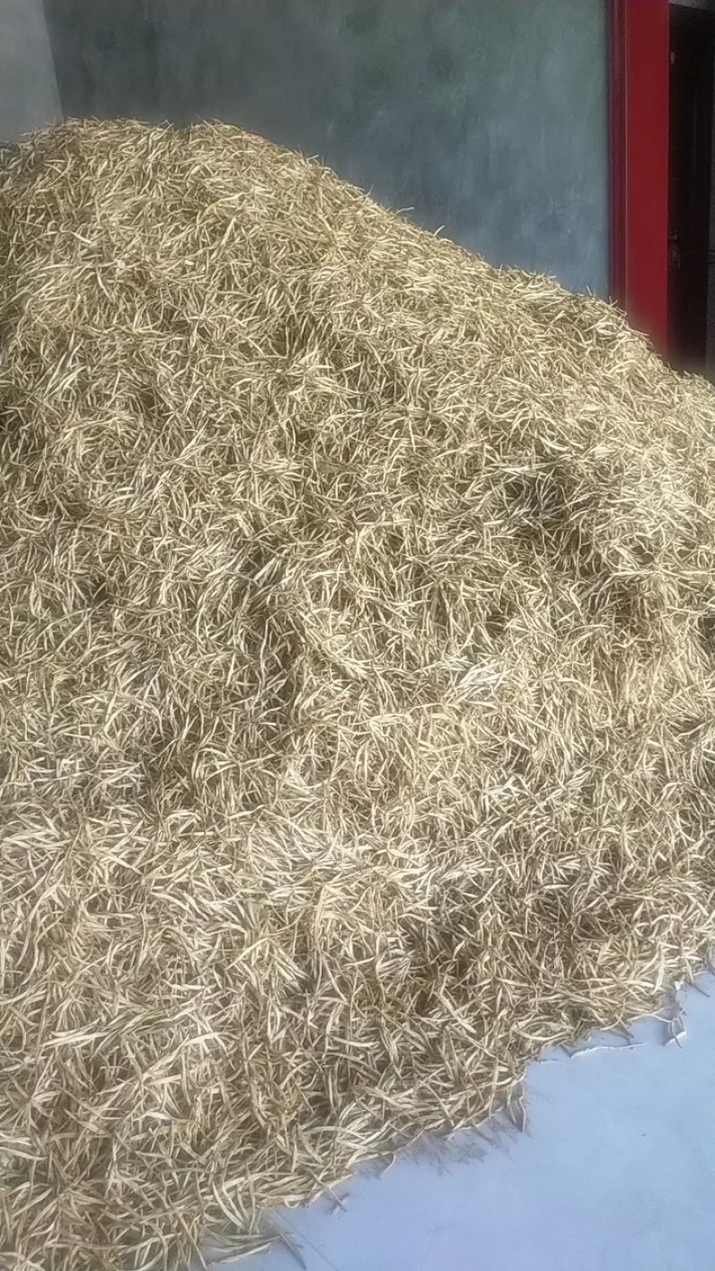 宁夏干黄花菜二零二四年新菜，直条，色白，无添加济，干度好