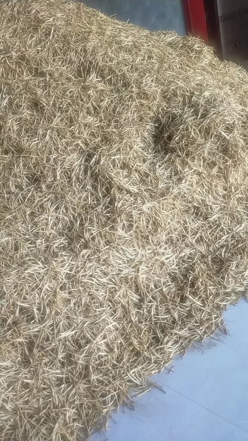宁夏干黄花菜二零二四年新菜，直条，色白，无添加济，干度好