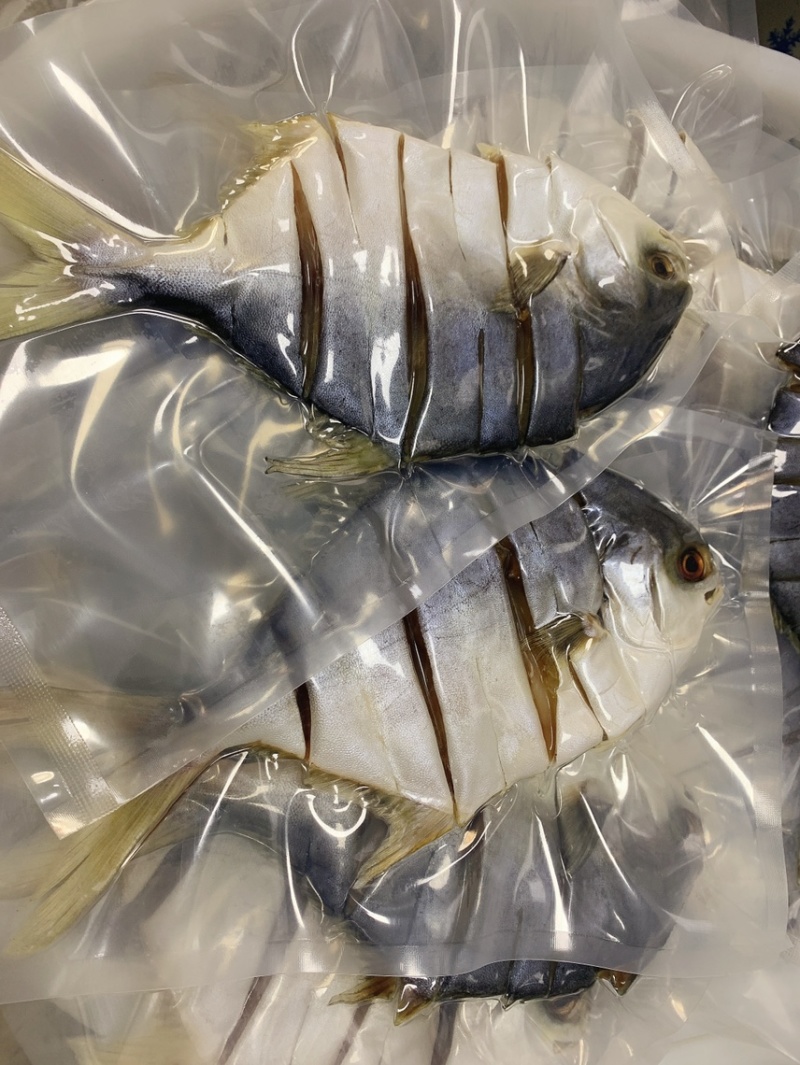 金鲳鱼干一夜埕淡盐金仓鱼湛江特产原料批批发零售代加工代发