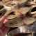 金鲳鱼干一夜埕淡盐金仓鱼湛江特产原料批批发零售代加工代发