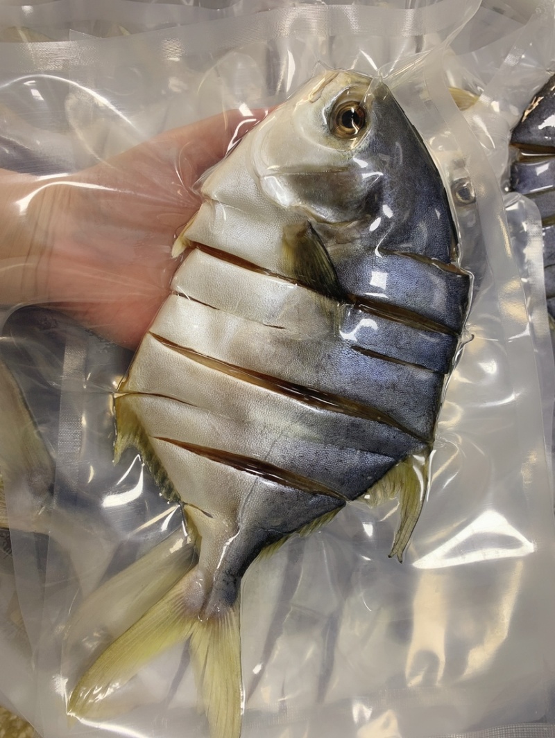 金鲳鱼干一夜埕淡盐金仓鱼湛江特产原料批批发零售代加工代发
