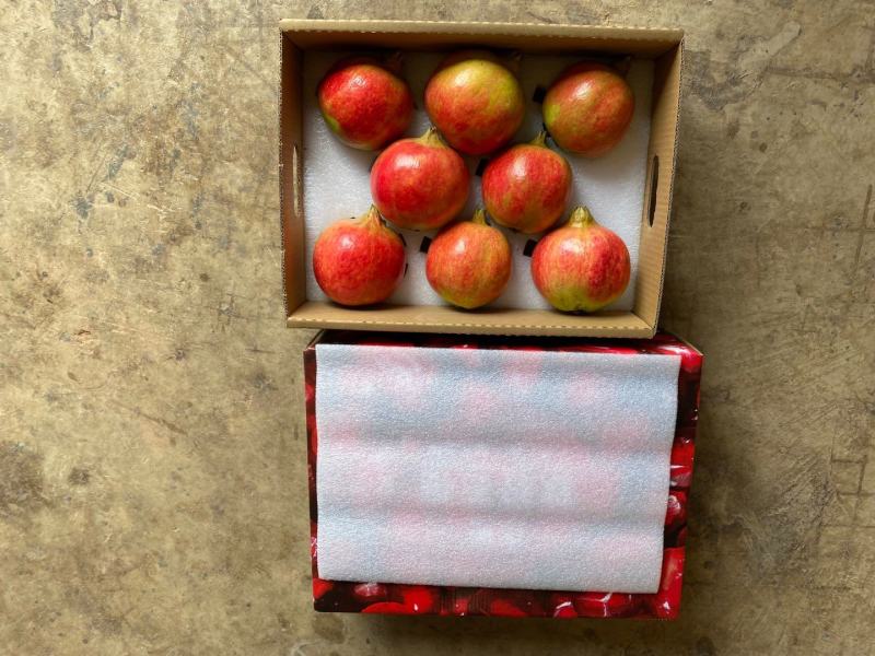【精品】突尼斯软子石榴会理石榴四川凉山石榴一件代发