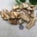 良姜片高良姜个货足干食用香辛料卤菜料