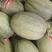 哈密瓜原产地常年供应小蜜25西州蜜瓜哈密瓜