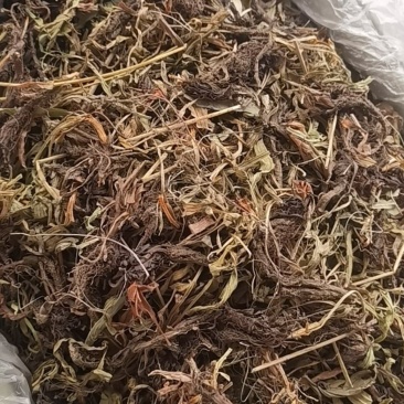甘松，水洗甘松，新货颜色漂亮，无杂质，一手货源，欢迎联系