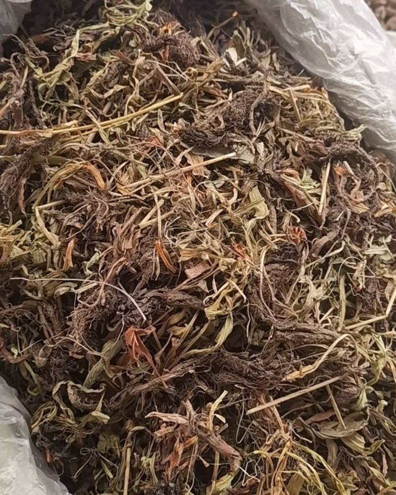 甘松，水洗甘松，新货颜色漂亮，无杂质，一手货源，欢迎联系