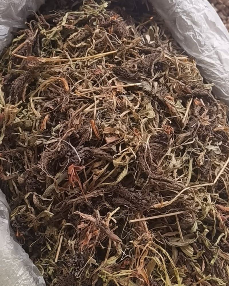 甘松，水洗甘松，新货颜色漂亮，无杂质，一手货源，欢迎联系