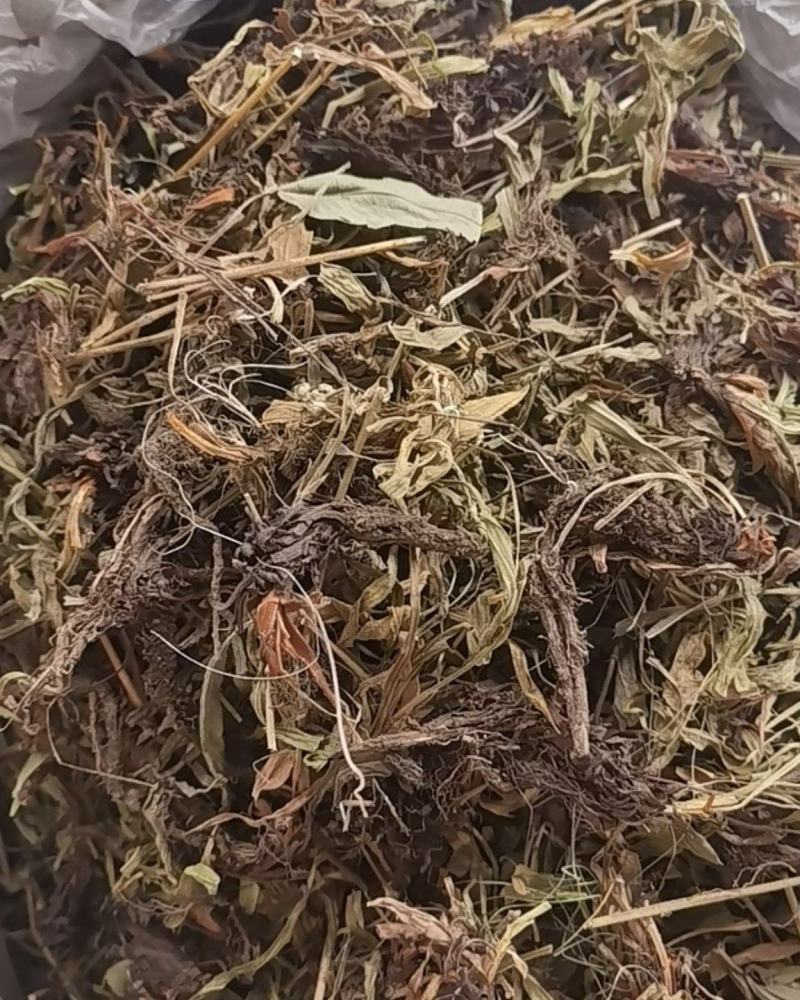 甘松，水洗甘松，新货颜色漂亮，无杂质，一手货源，欢迎联系