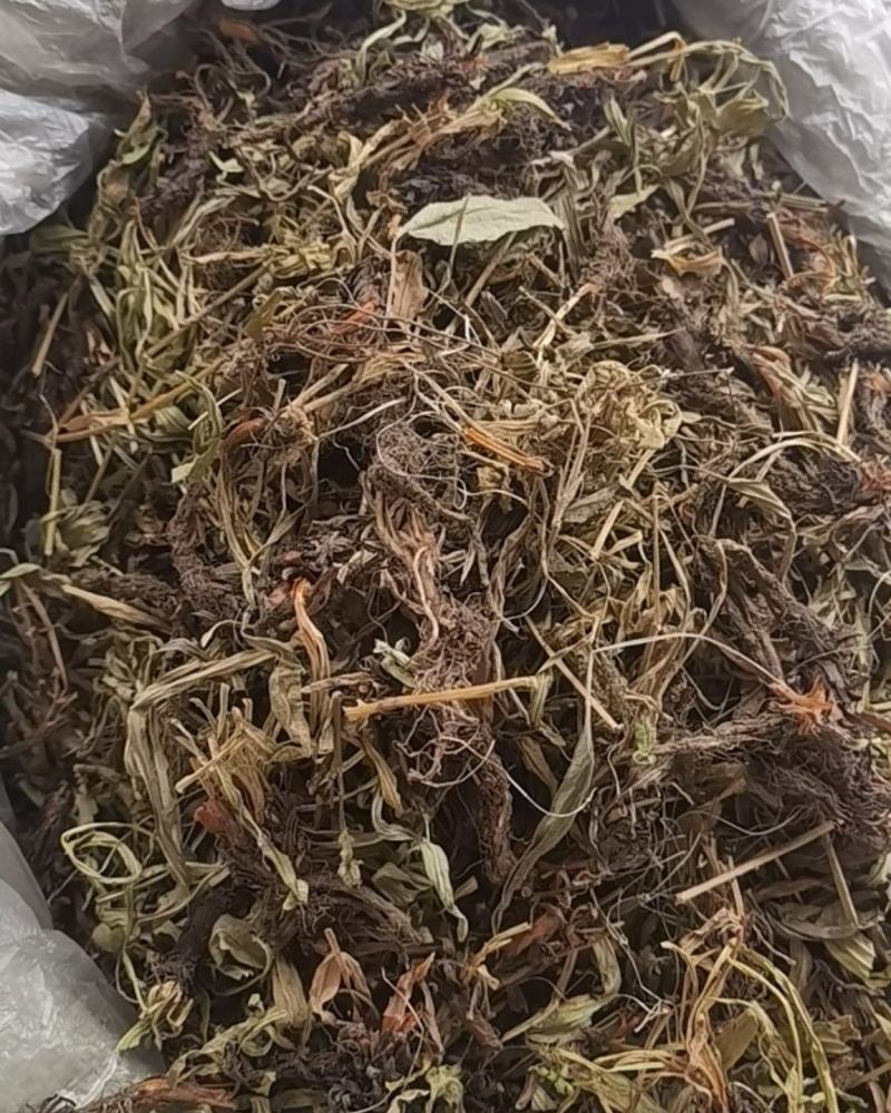甘松，水洗甘松，新货颜色漂亮，无杂质，一手货源，欢迎联系