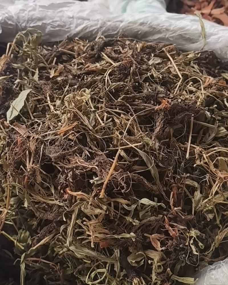 甘松，水洗甘松，新货颜色漂亮，无杂质，一手货源，欢迎联系