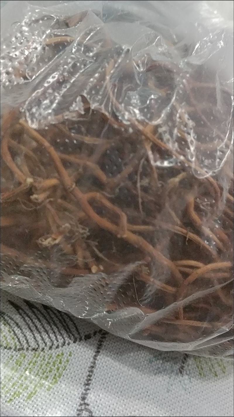 鱼腥草干根晒干发货基地直供