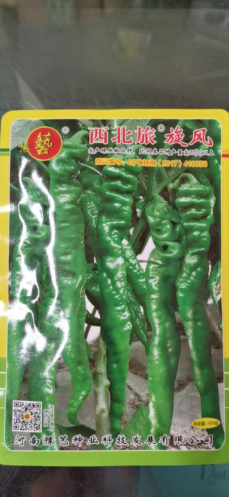 豫艺西北旅旋风螺丝椒种子陇椒种子强抗病高产