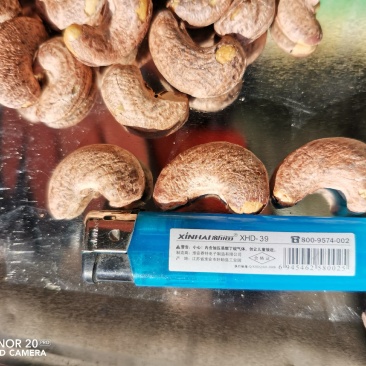 腰果，紫衣腰果，虎皮腰果，大量批发，全国发货，新货
